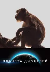 Планета джунглей