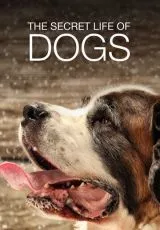 Тайная жизнь собак