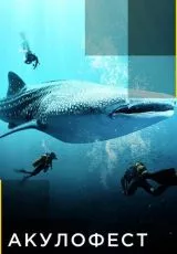 Акулофест