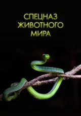 Спецназ животного мира