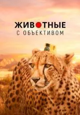 Животные с объективом