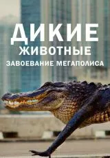 Дикие животные: Завоевание мегаполиса