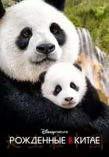 Рождённые в Китае