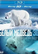 Полярные медведи