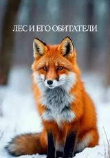 Лес и его обитатели