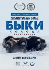 Быки холода. Возвращение