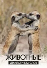 Животные: Диалоги без слов
