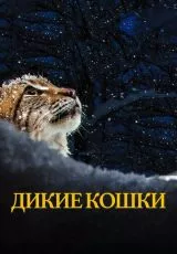 Дикие кошки