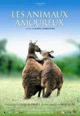 Влюбленные животные