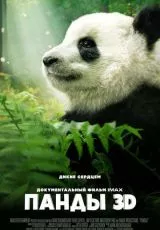 Панды 3D