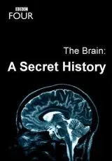 2011 The Brain: A Secret History