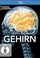 2011 Испытайте свой мозг