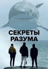 2021 Секреты разума