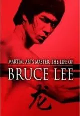 1994 Жизнь Брюса Ли