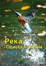 2013 Река - одиссея жизни