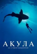 2021 Акула со Стивом Бакшоллом