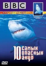 2001 BBC: 10 самых опасных акул