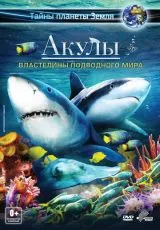 2013 Акулы 3D: Властелины подводного мира