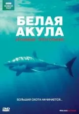 2002 BBC: Белая акула. Кровавый треугольник