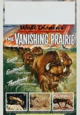 1954 Исчезающая прерия