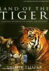 1985 Земля тигров