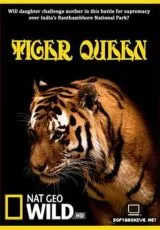 2010 Королева тигров