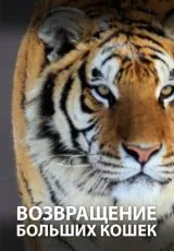 2020 Возвращение больших кошек