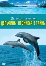 2006 Дельфины: Проникая в тайны