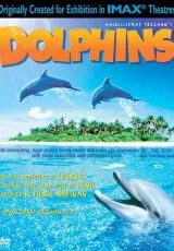 2000 Дельфины