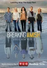 2012 Амиши: Найти новую жизнь