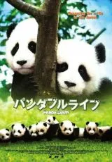 2008 Дневник панды