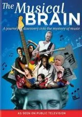 2009 Мой музыкальный мозг