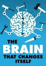 2008 Пластичность мозга