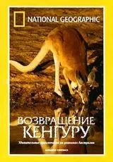 1998 National Geographic: Возвращение кенгуру