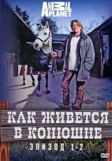 2006 Как живется в конюшне