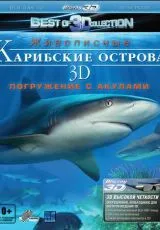 2012 Карибские острова 3D: Погружение с акулами