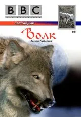 1997 BBC: Волк