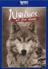 1997 Discovery: Волки